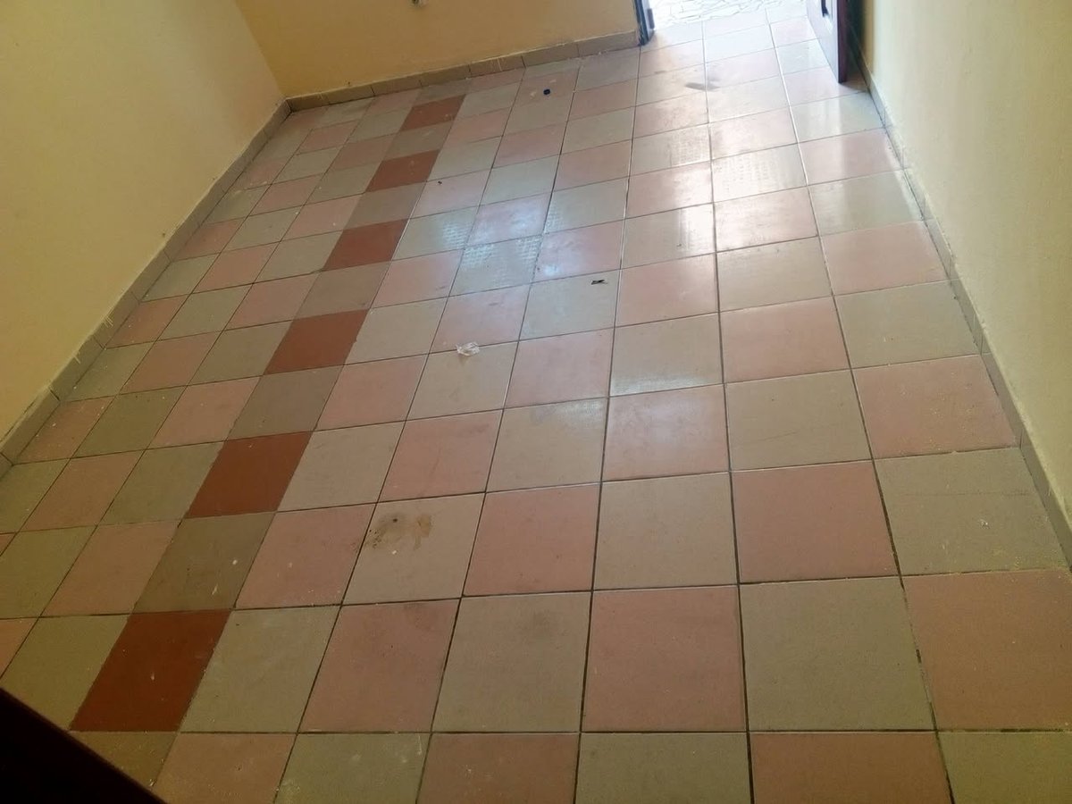 Appartement 1 pièce avec véranda et salon dallé spacieux