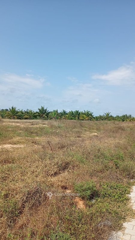 Domaine de 5 hectares