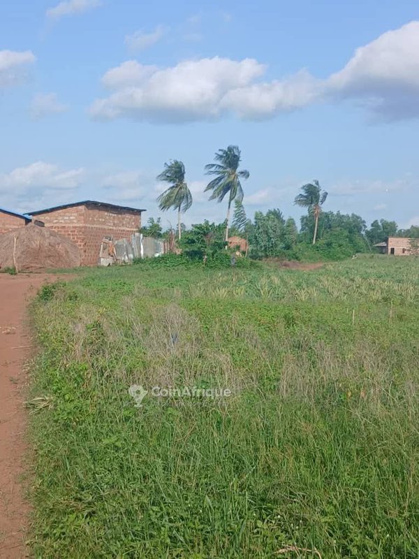 Terrain viabilisé de 500 m² avec titre foncier et plan de morcellement