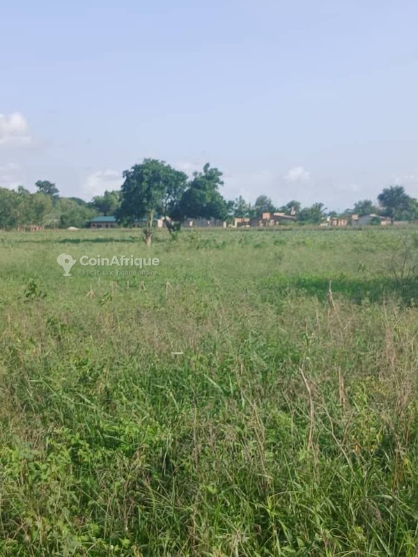 Terrain viabilisé de 500 m² avec titre foncier et plan de morcellement