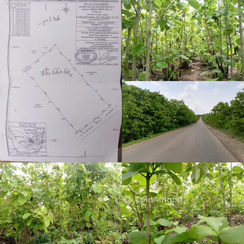 Terrain de 7,5 hectares avec titre foncier et accès goudronné – Idéal pour investissement