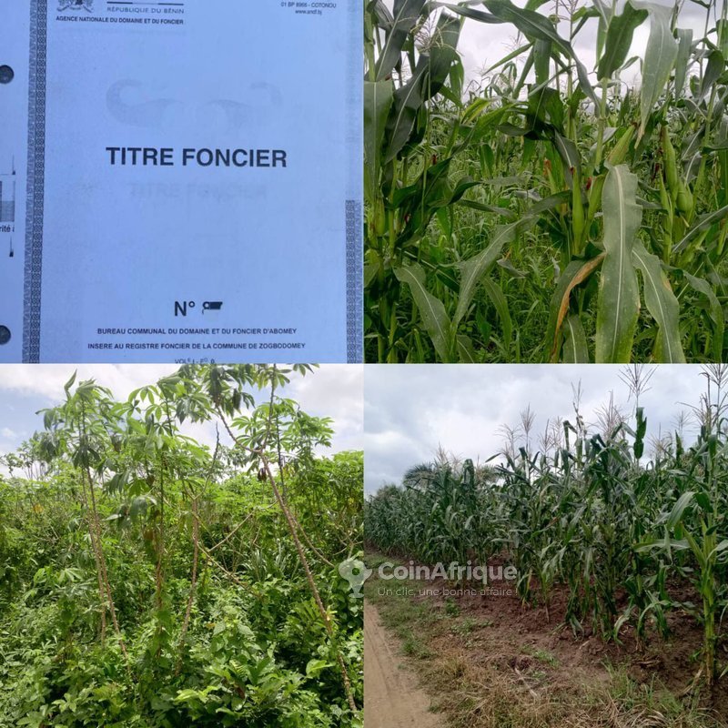 Terrain agricole de 14 hectares avec titre foncier et accès véhicule