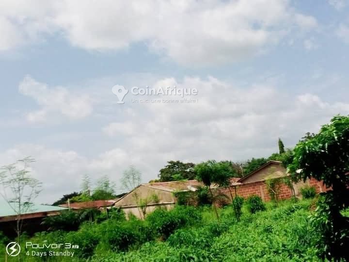 Terrain viabilisé de 330 m² avec enregistrement cadastral et électricité