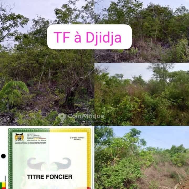 Terrain agricole de 73 hectares avec titre foncier et accès facile par grande voie