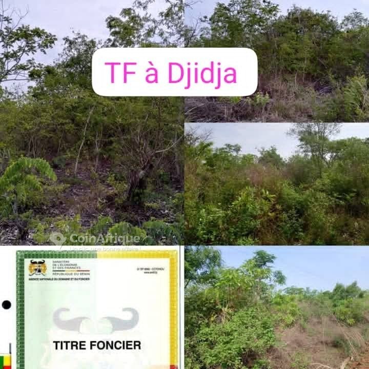 Terrain agricole de 73 hectares avec titre foncier et accès facile par grande voie