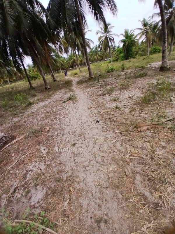 Terrain agricole de 73 hectares avec titre foncier et accès facile par grande voie