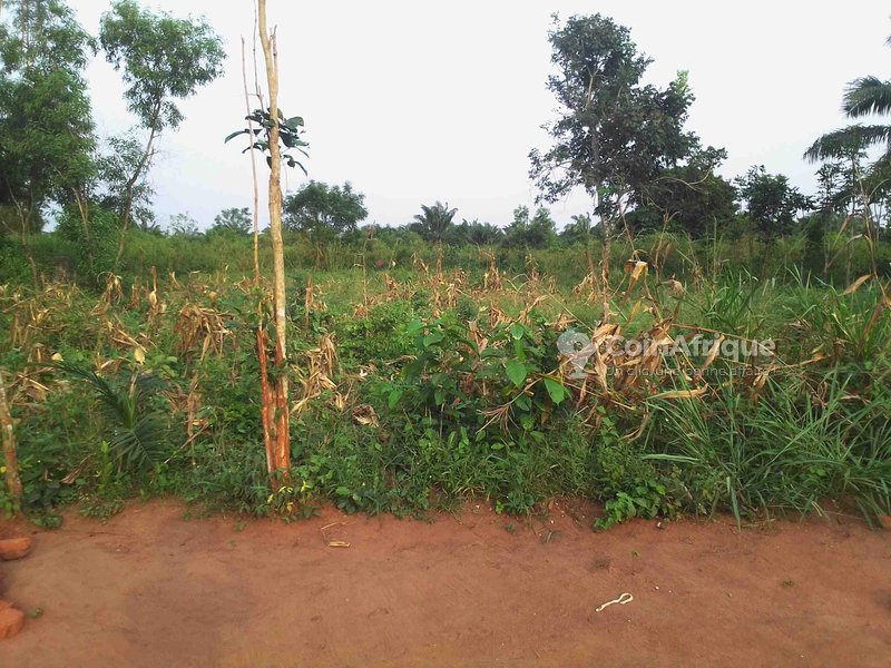 Terrain spacieux de 450 m² avec documents disponibles et accès facile