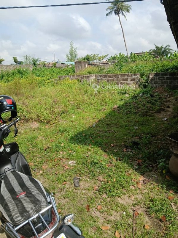 Terrain exceptionnel de 3125 m² avec titre foncier personnel et accès à deux rues