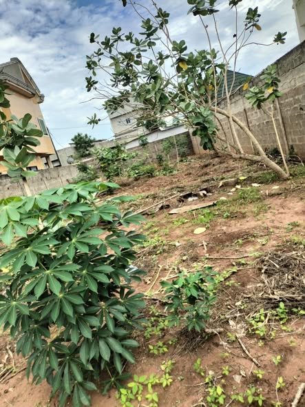 Terrain clôturé de 331 m² avec titre foncier personnel et accès privilégié