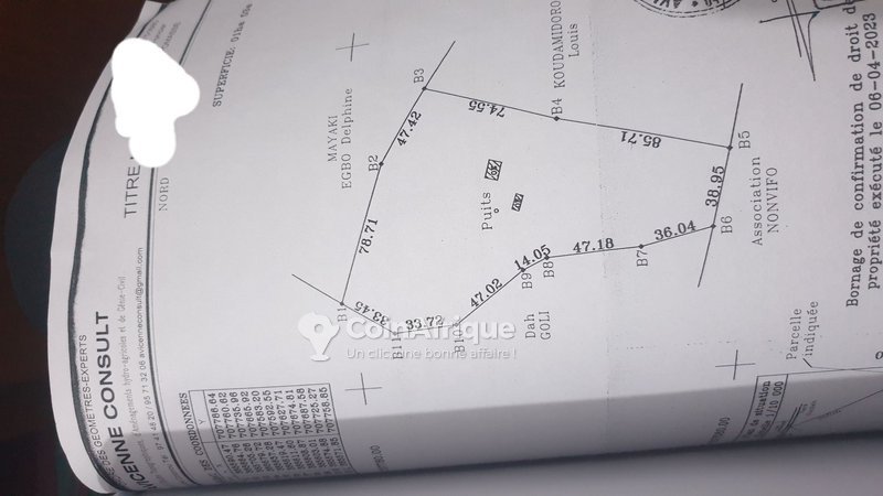Terrain spacieux de 10 530 m² avec plantations d'arbres fruitiers et accès facile