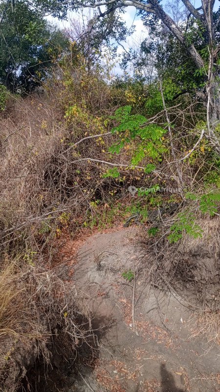 Domaine agricole exceptionnel de plusieurs hectares avec terre très fertile
