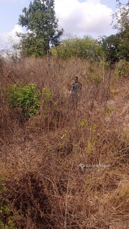 Domaine agricole exceptionnel de plusieurs hectares avec terre très fertile