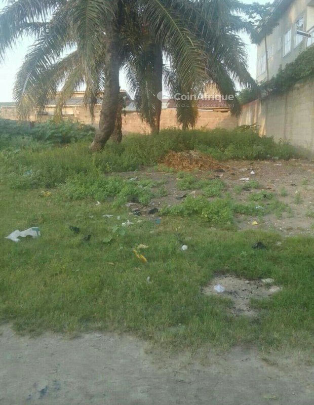 Terrain constructible de 295 m² avec documents légaux complets