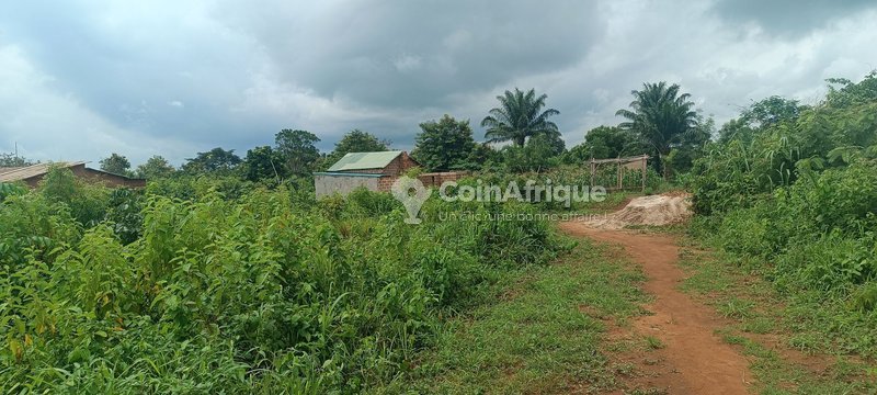Terrain constructible de 450m² avec documents légaux complets et électrifié