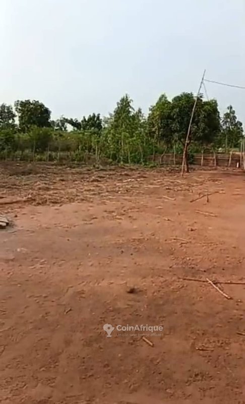 Terrain à vendre avec titre foncier et voies spacieuses de 10 mètres