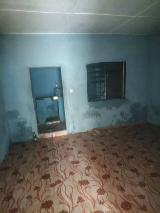 Appartement cosy d'une pièce avec salon et sanitaire intégré
