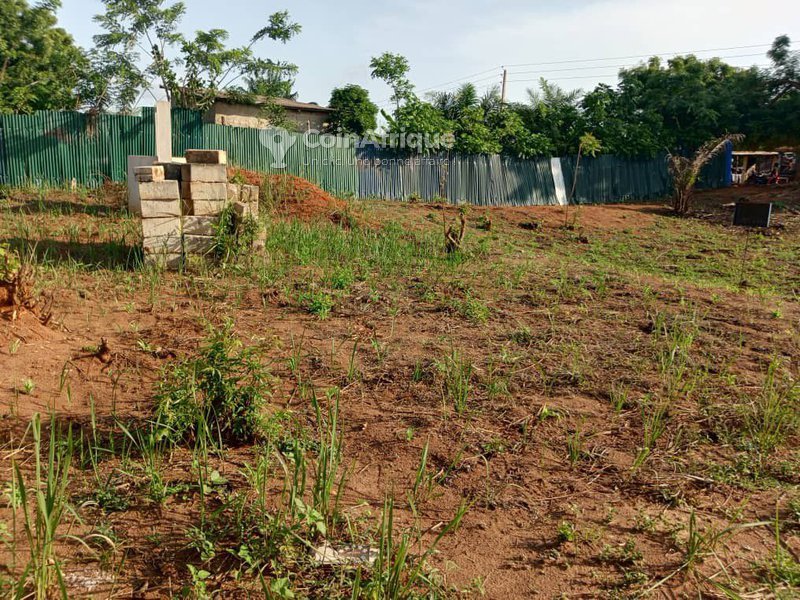 Terrain spacieux de 525 m² en vente avec documents complets et emplacement stratégique