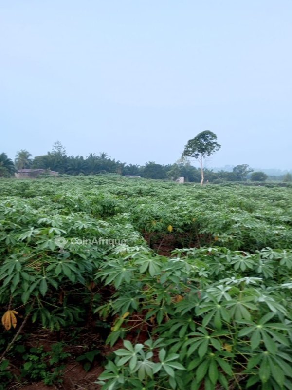 Terrain spacieux de 350 m² avec titre foncier – Idéal pour résidence haut de gamme