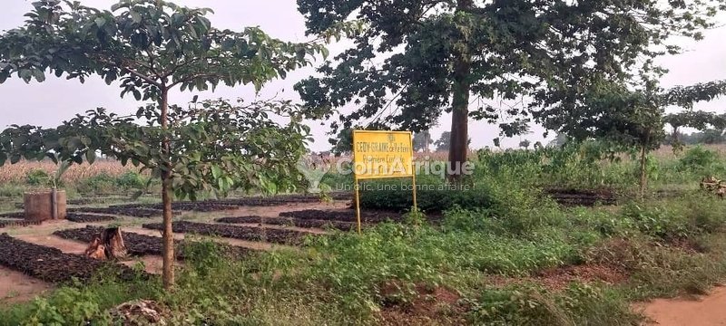 Terrain spacieux de 350 m² avec titre foncier – Idéal pour résidence haut de gamme