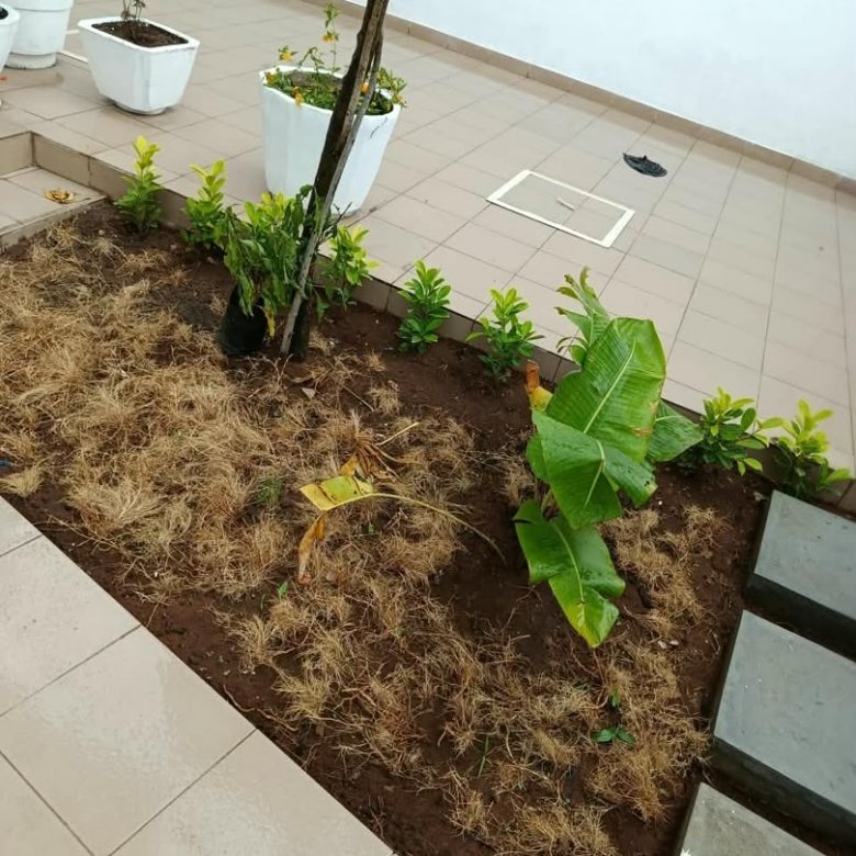 Villa triplex spacieuse avec 9 chambres et terrasse idéale pour résidence familiale ou bureaux
