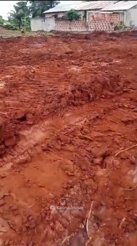 Terrain viabilisé de 400 m² avec titre foncier dans une zone sécurisée et bien desservie