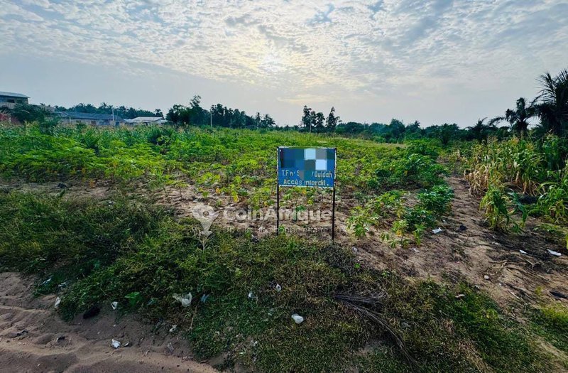 Terrain constructible de 350 m² dans un cadre calme et bien situé