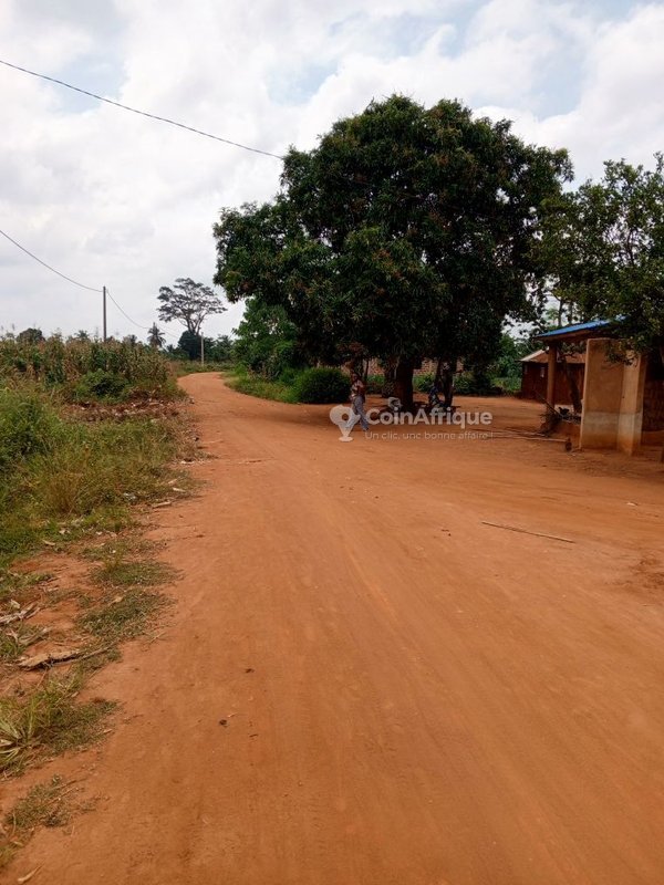 Terrain de 450 m² avec titre foncier et accès facile – Opportunité immobilière exceptionnelle