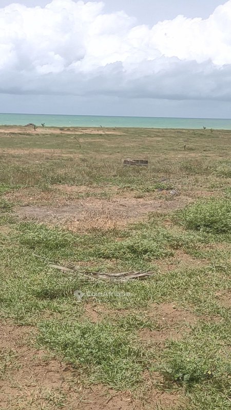 Terrain exceptionnel de 8332 m² avec titre foncier en bord de mer