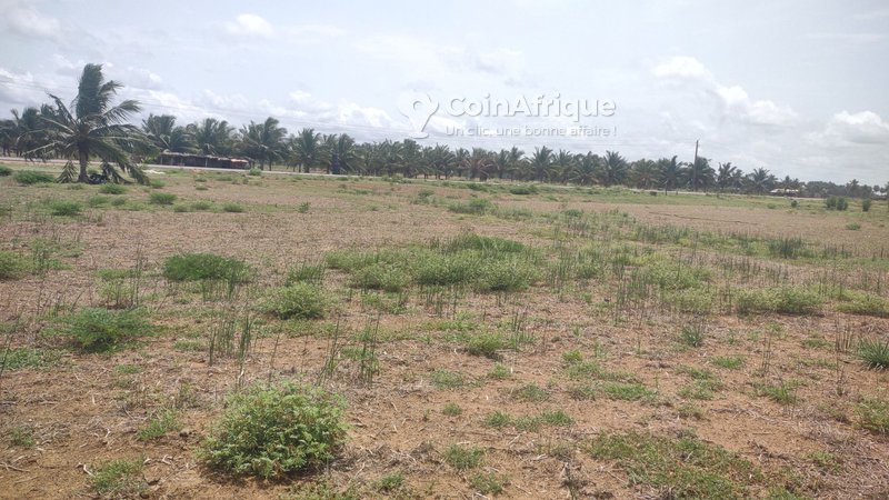 Terrain exceptionnel de 8332 m² avec titre foncier en bord de mer