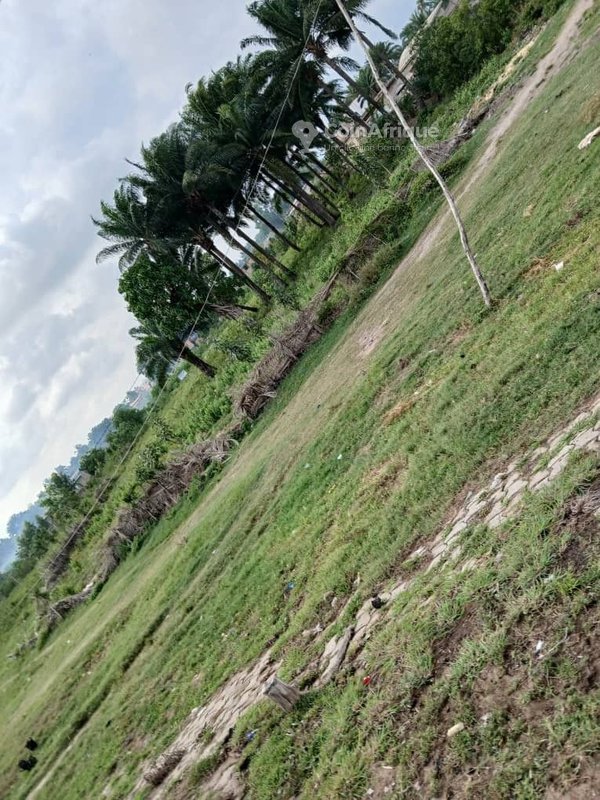 Terrain exceptionnel de 7465 m² avec titre foncier personnel en angle de rue stratégique