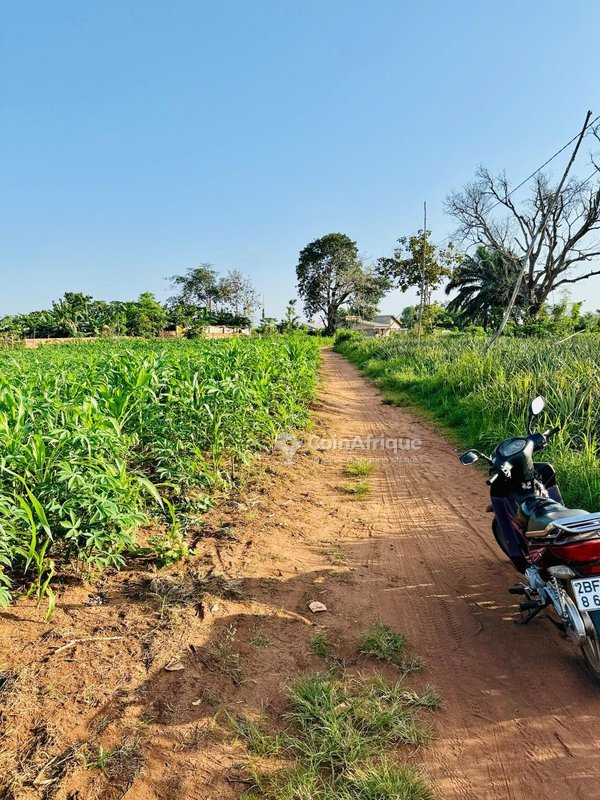 Terrain constructible avec poteaux électriques en position stratégique