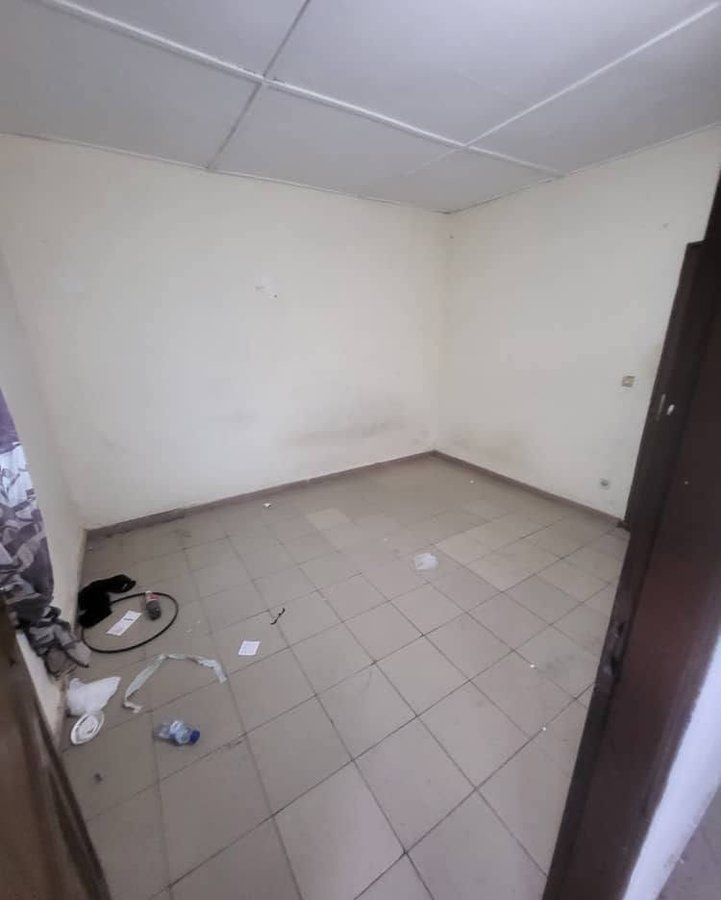 Appartement cosy d'une pièce avec arrière-cour et équipements individuels