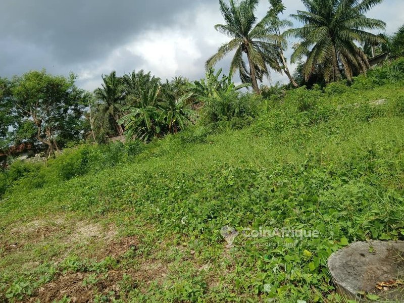 Terrain de 7618 m² avec titre foncier global dans un domaine sécurisé