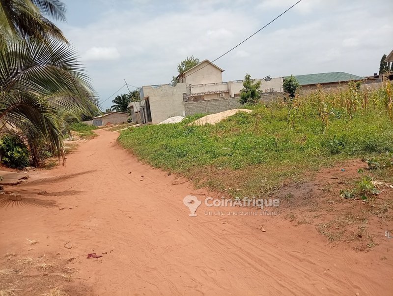 Terrain de 670 m² avec titre foncier global et électrification