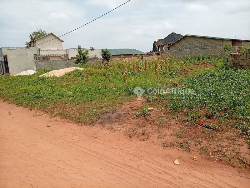 Terrain de 670 m² avec titre foncier global et électrification