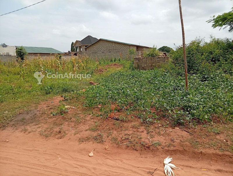 Terrain de 670 m² avec titre foncier global et électrification
