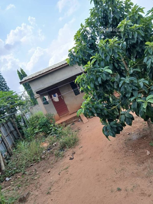 Terrain spacieux de 2000 m² avec titre foncier en zone stratégique