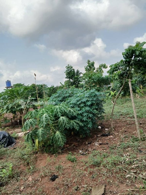Terrain spacieux de 2000 m² avec titre foncier en zone stratégique