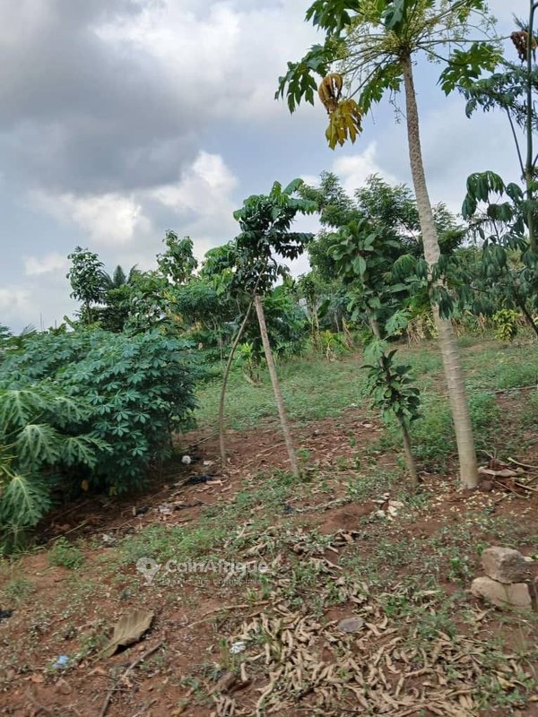 Terrain spacieux de 2000 m² avec titre foncier en zone stratégique