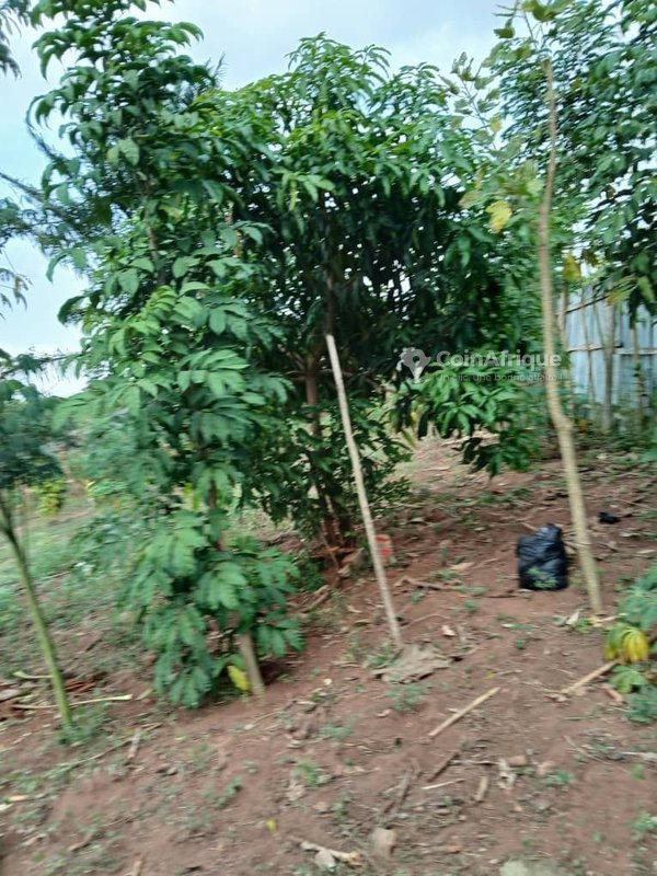 Terrain spacieux de 2000 m² avec titre foncier en zone stratégique