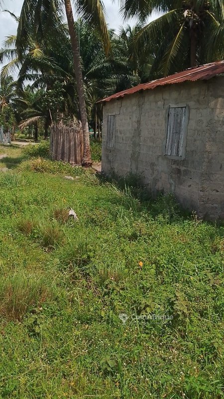 Terrain exceptionnel de 3 hectares avec cocoteraie et potentiel de division