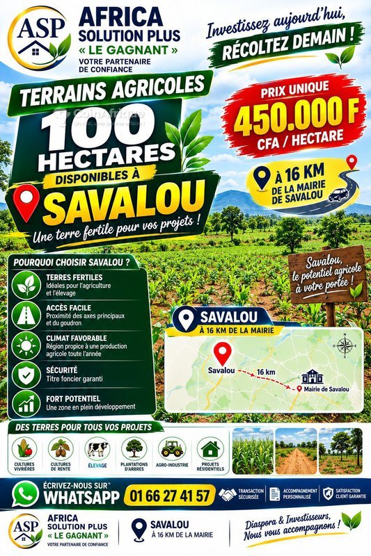 Terrain spacieux de 1 000 000 m² – Opportunité d'investissement exceptionnelle