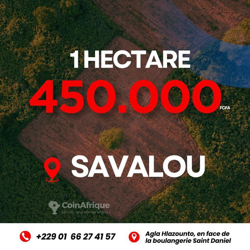 Terrain spacieux de 1 000 000 m² – Opportunité d'investissement exceptionnelle