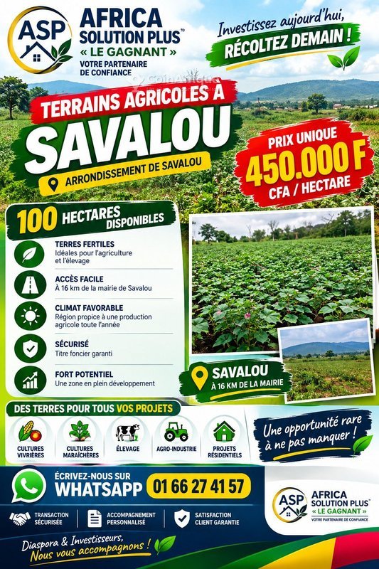 Terrain spacieux de 1 000 000 m² – Opportunité d'investissement exceptionnelle