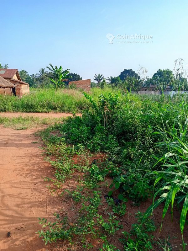 Terrain constructible de 419 m² avec voie large et cadre sécurisé