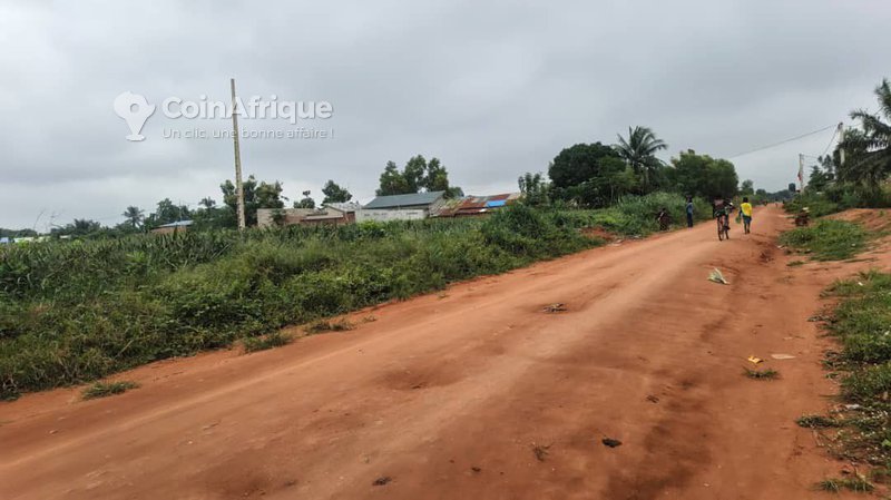 Terrain viabilisé et électrifié avec titre foncier sécurisé - Parcelles de 320 m²