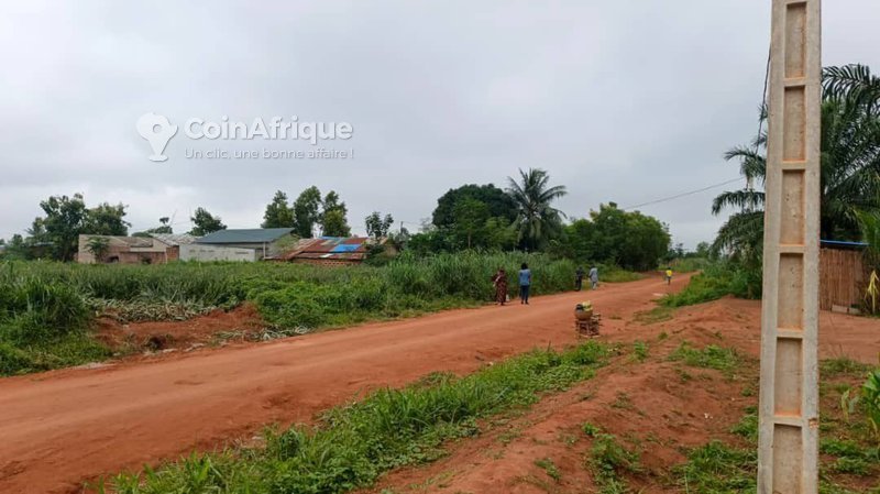 Terrain viabilisé et électrifié avec titre foncier sécurisé - Parcelles de 320 m²