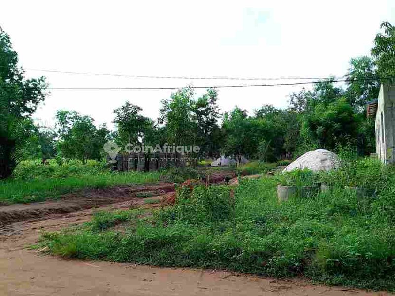 Terrain viabilisé de 350 m² avec titre foncier et accès direct à la voie principale