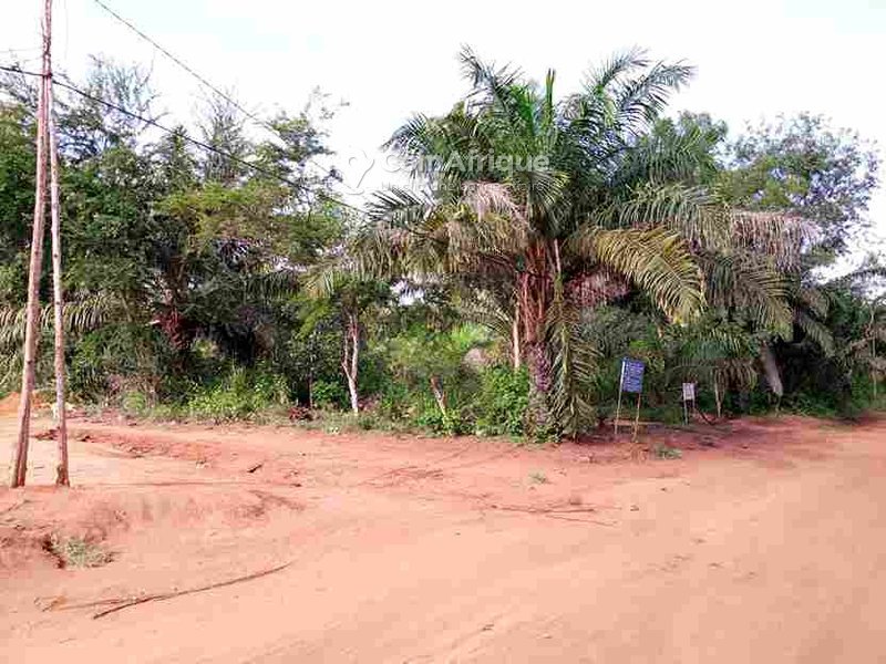 Terrain viabilisé de 350 m² avec titre foncier et accès direct à la voie principale