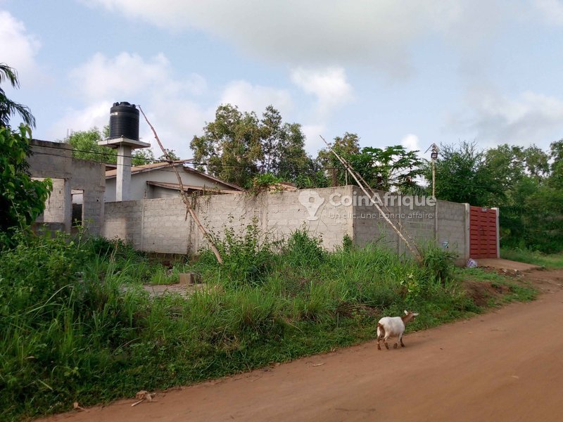 Terrain viabilisé de 350 m² avec titre foncier et accès direct à la voie principale